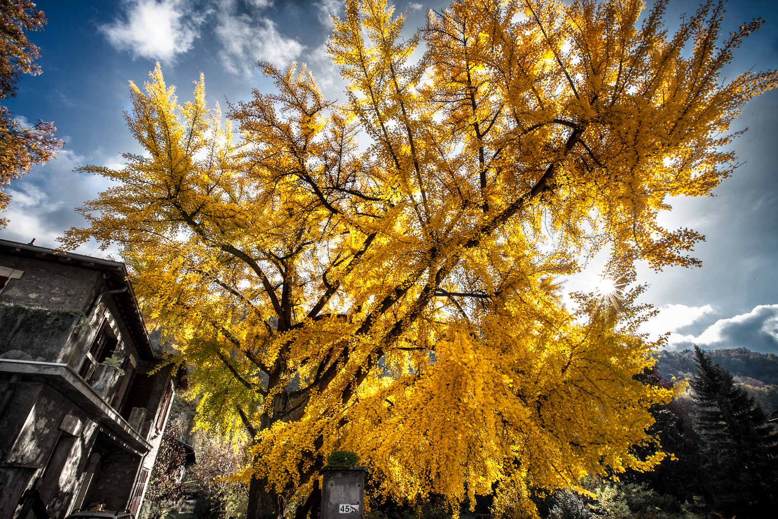 Automne