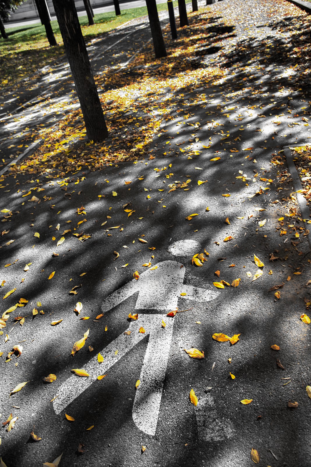 Automne