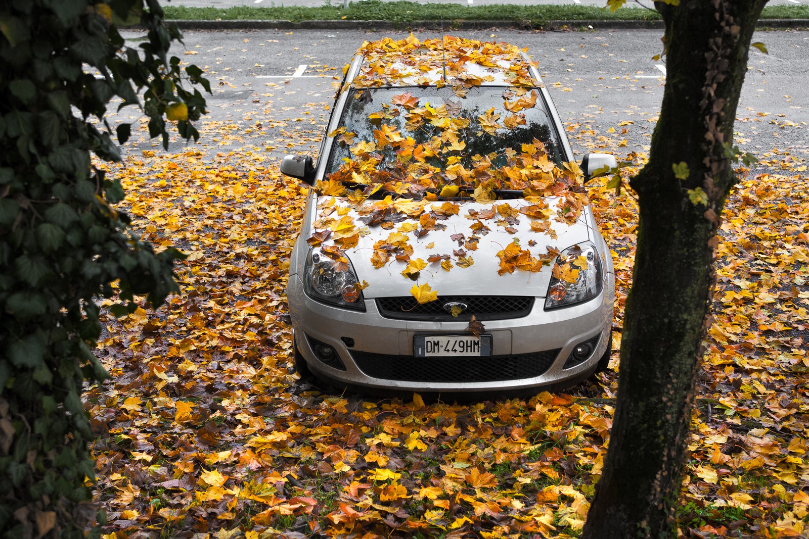 Automne