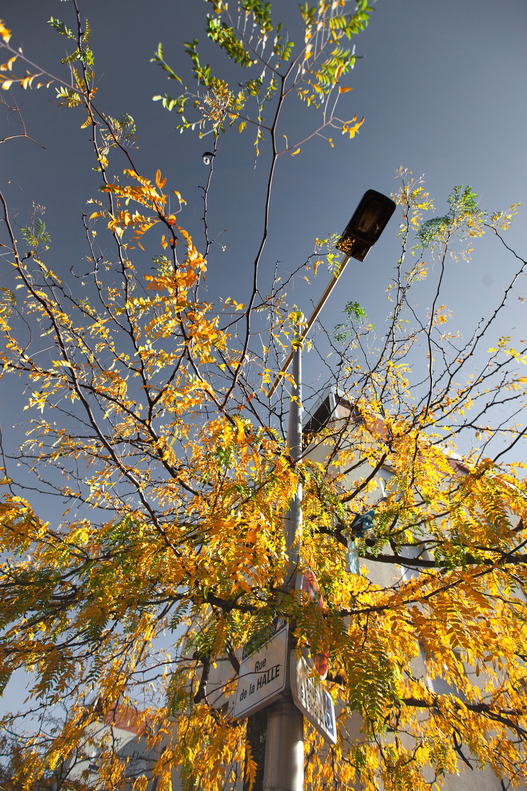 Automne