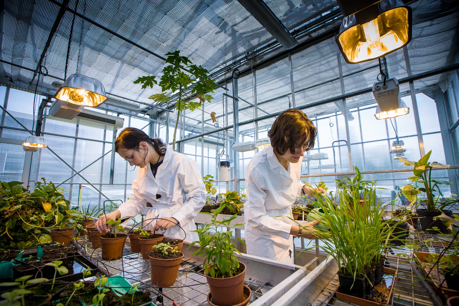 Biosciences