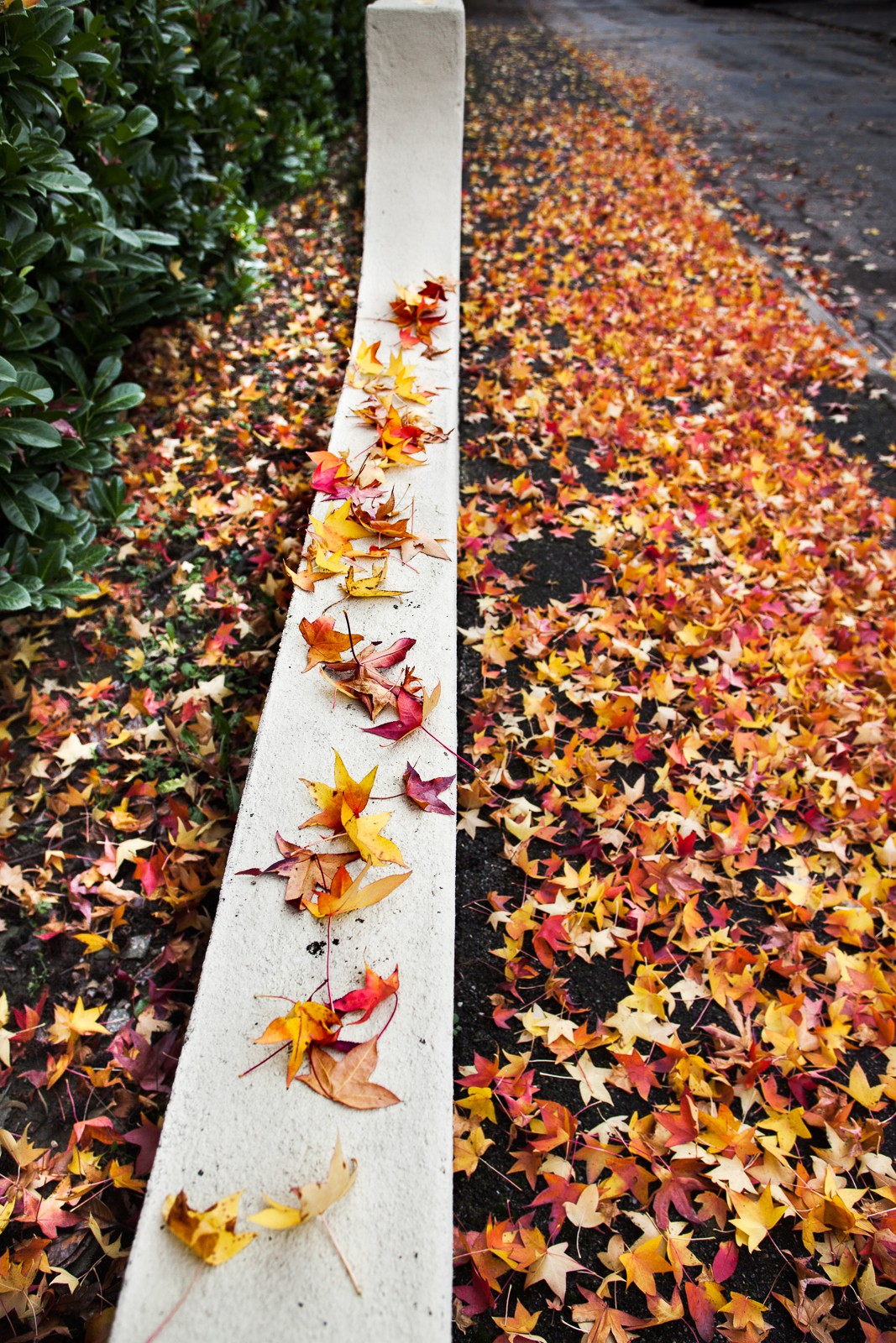Automne