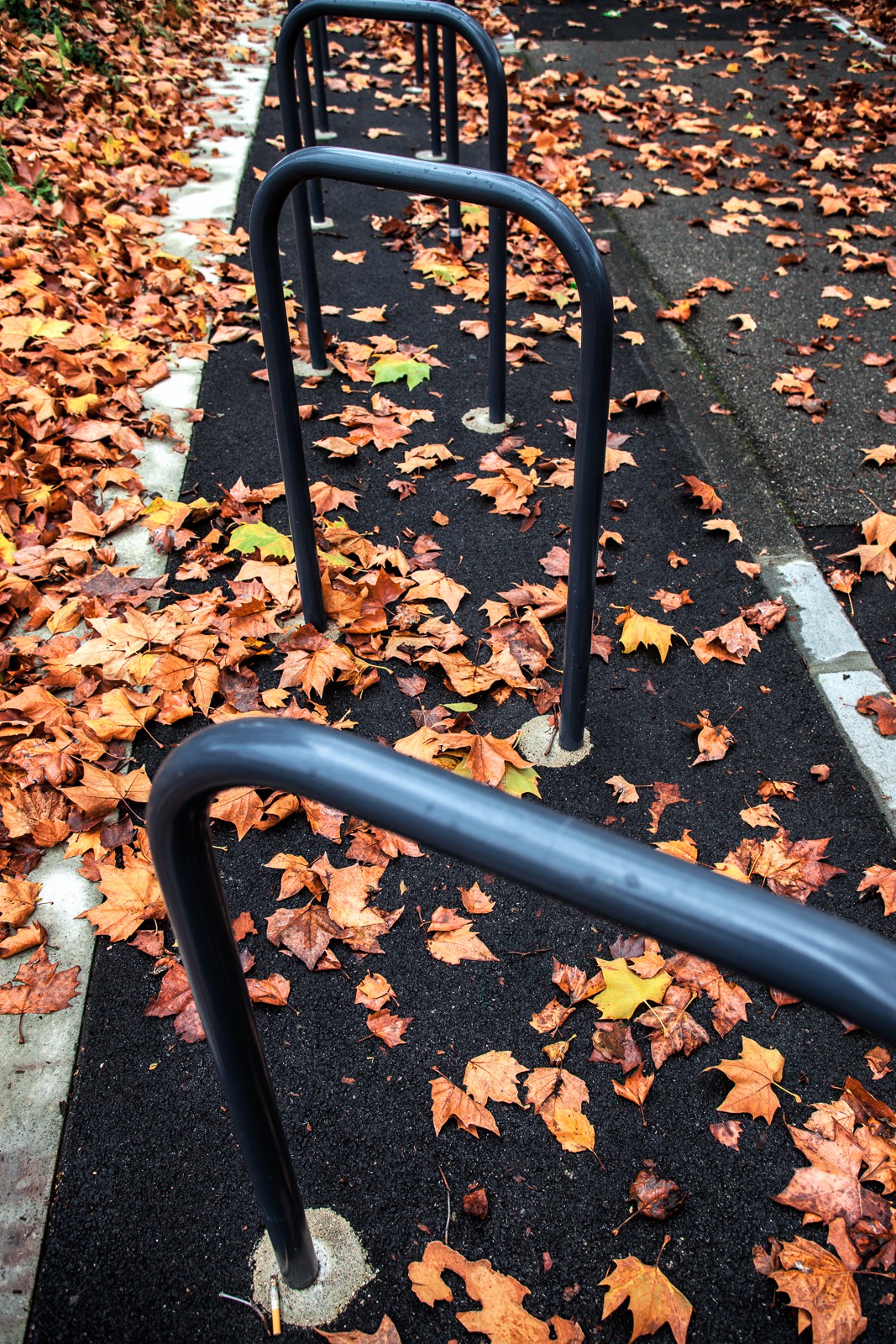 Automne