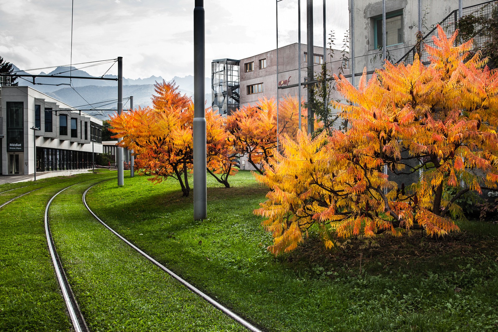 Automne