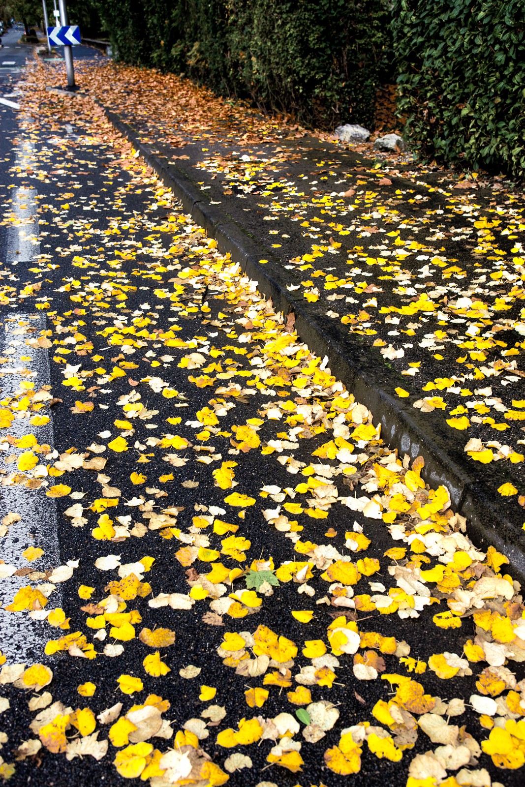 Automne