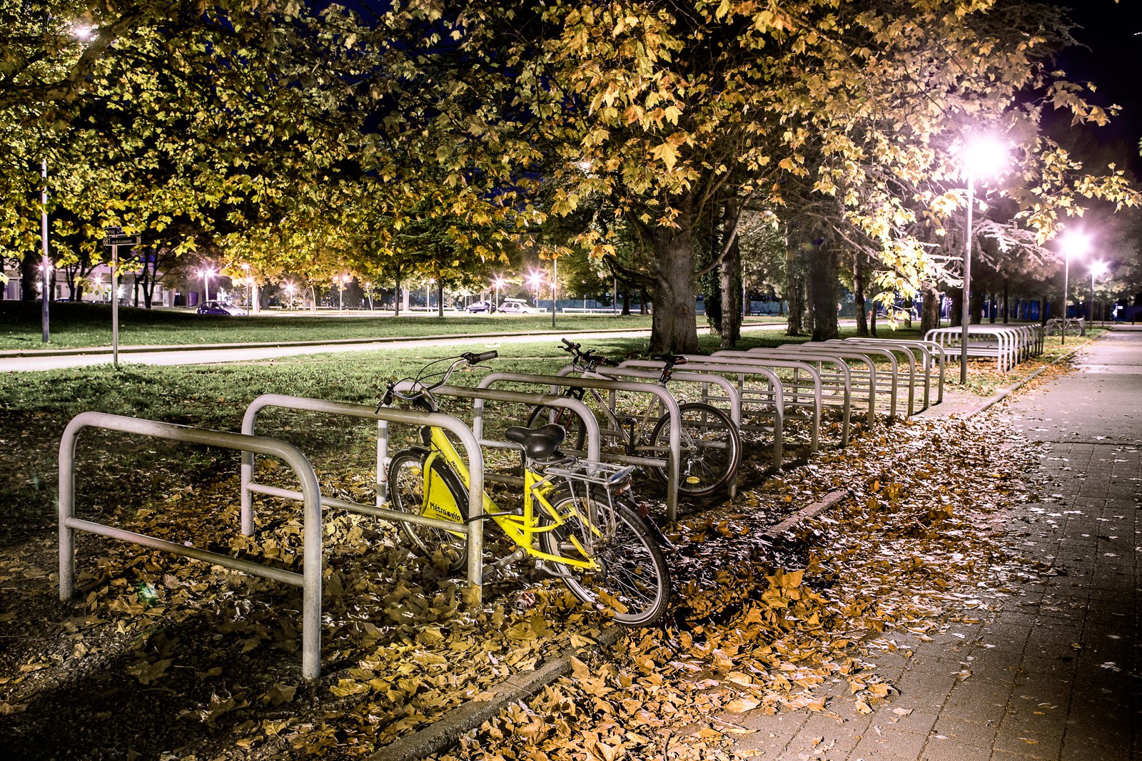 Automne