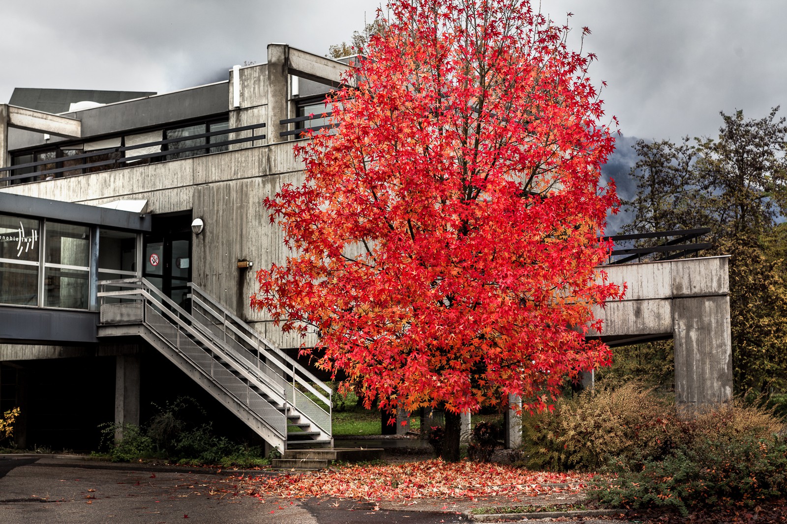 Automne