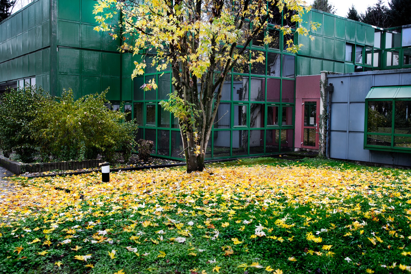 Automne