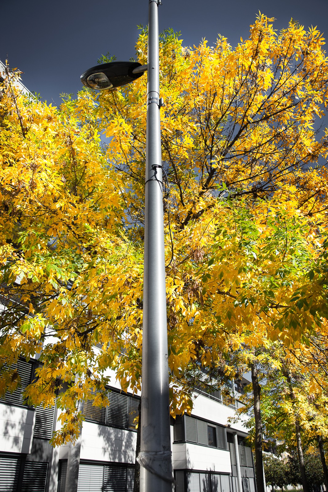 Automne